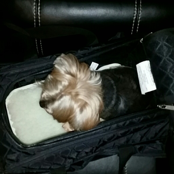 Pet Carrier/ Meets Airline requirements. - Picture 5 of 8